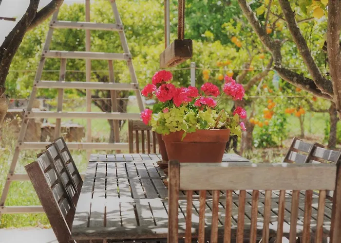 Ca\'N Guiri, Eco Finca In Mallorca