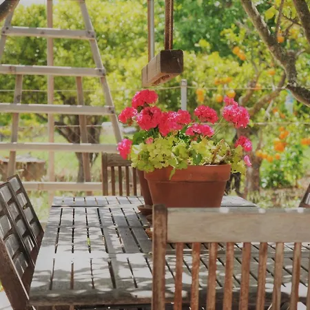 Ca'N Guiri, Eco Finca In Mallorca Campanet Zewnętrze zdjęcie